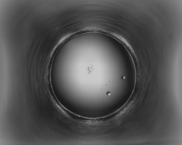 X0000086320799200704131652