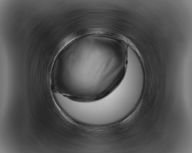 X0000086320802200704131652