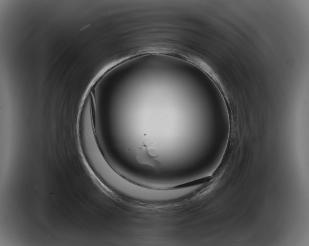 X0000086320803200704131652