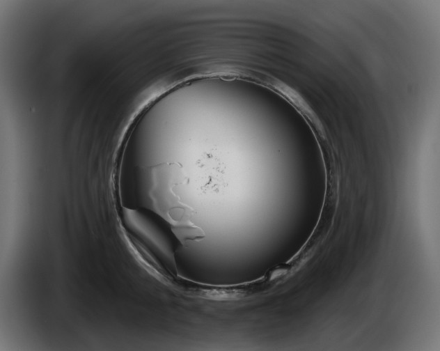 X0000086320805200704131652