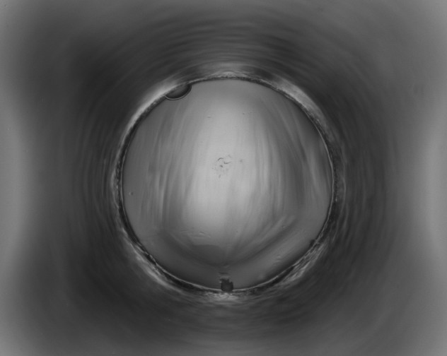 X0000086320806200704131652