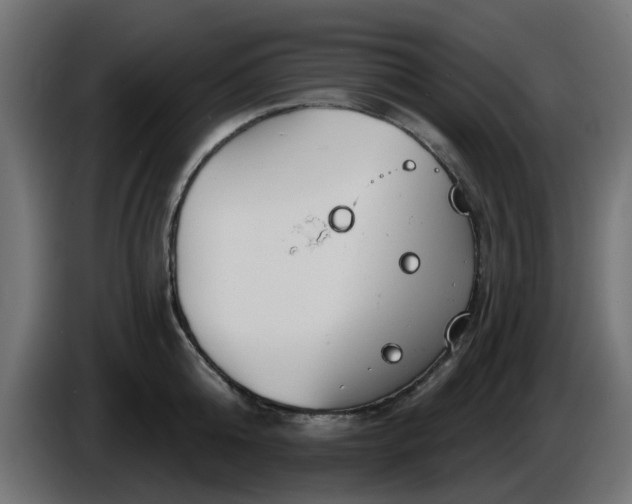 X0000086320808200704131652