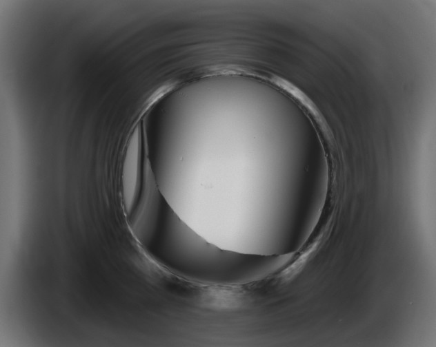 X0000086320809200704131652