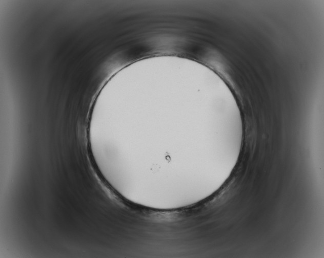 X0000086320810200704131652