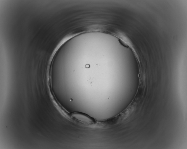 X0000086320811200704131652