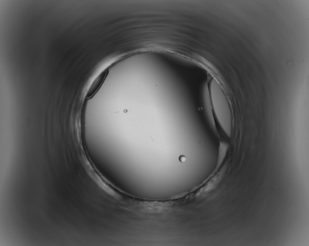 X0000086320812200704131652