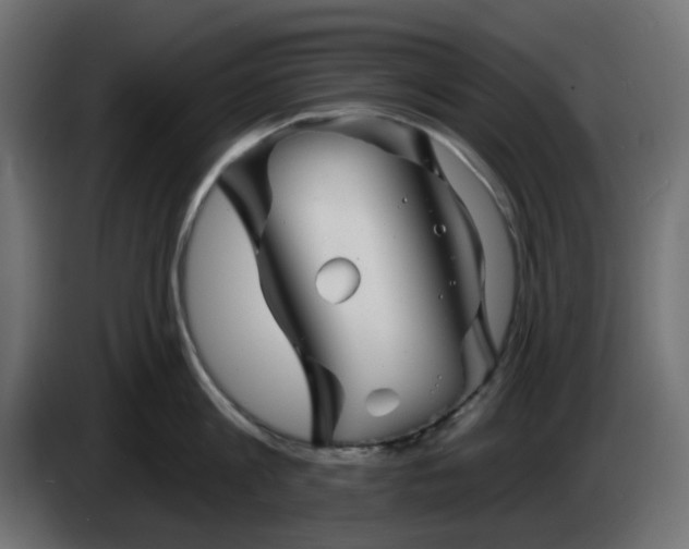 X0000086320813200704131652