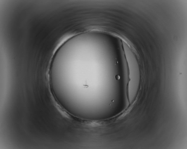 X0000086320814200704131652