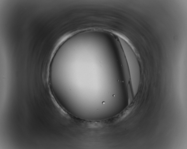 X0000086320815200704131652