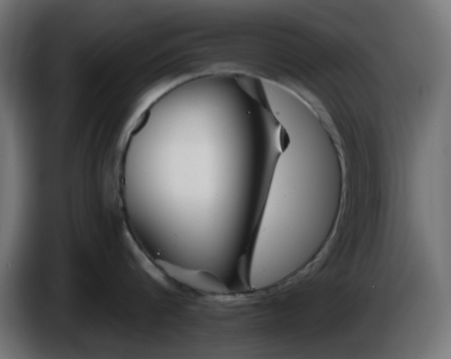 X0000086320816200704131652