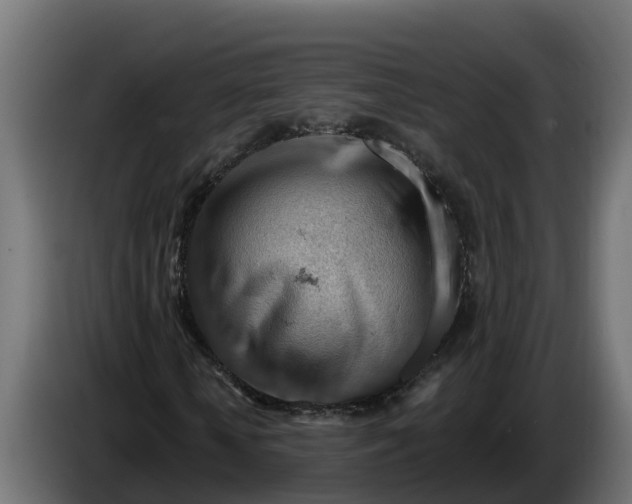 X0000086320818200704131651