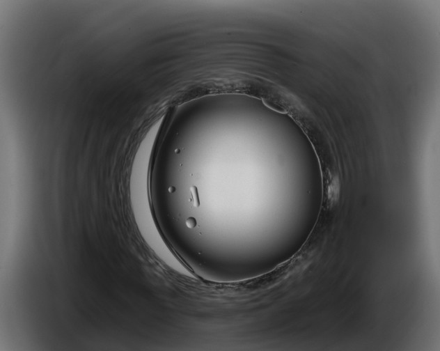 X0000086320819200704131651