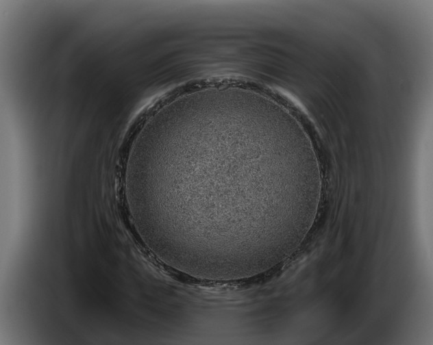 X0000086320823200704131651