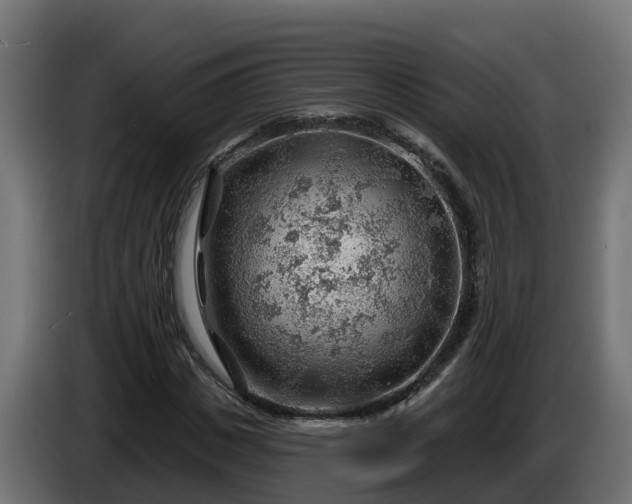 X0000086320825200704131651