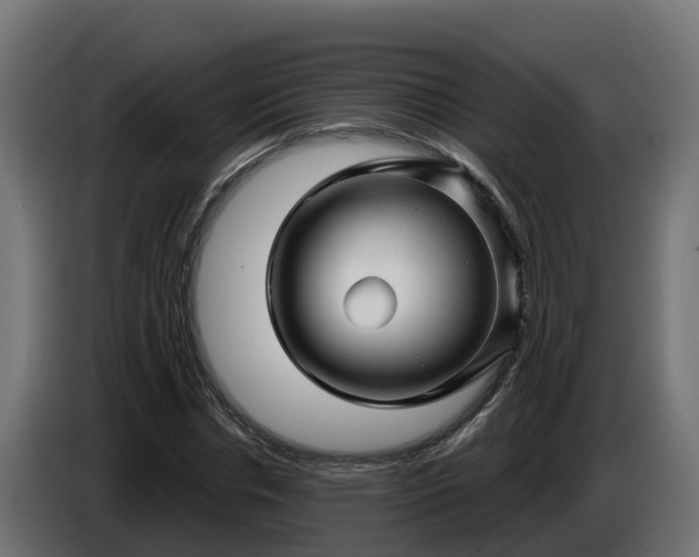 X0000086320826200704131651