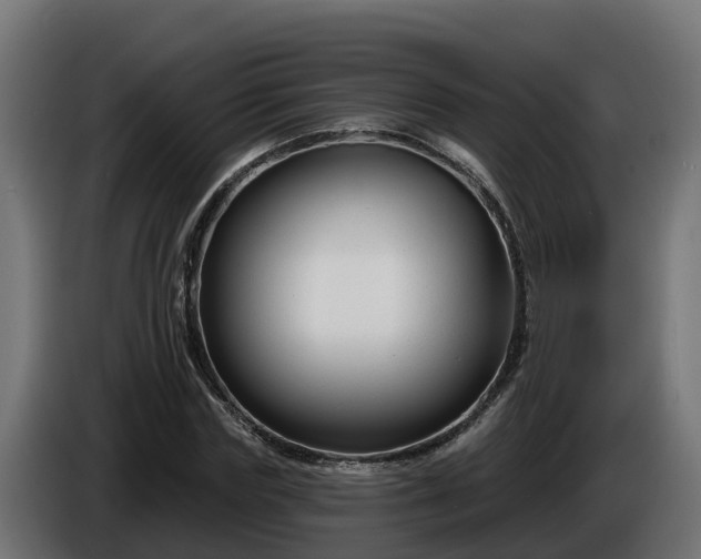 X0000086320827200704131651