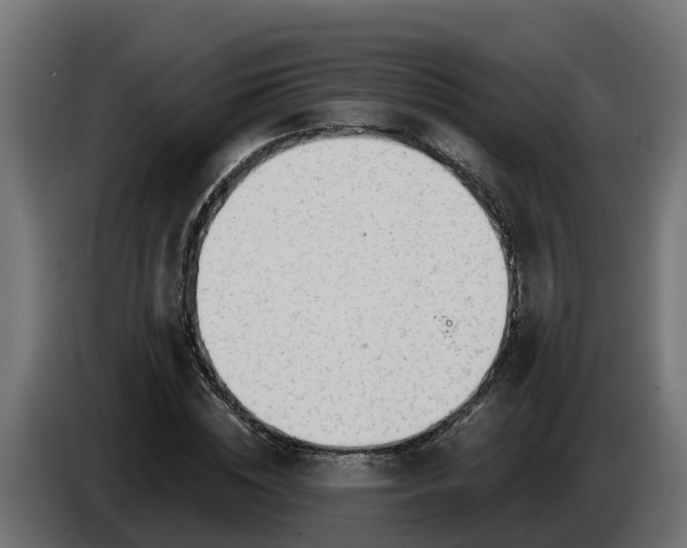 X0000086320828200704131651