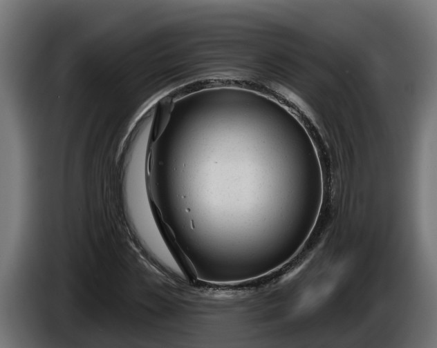 X0000086320829200704131651