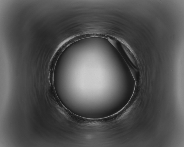 X0000086320830200704131651