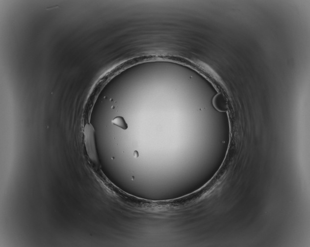 X0000086320831200704131651