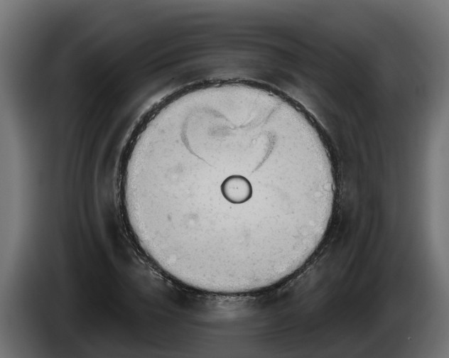 X0000086320832200704131651