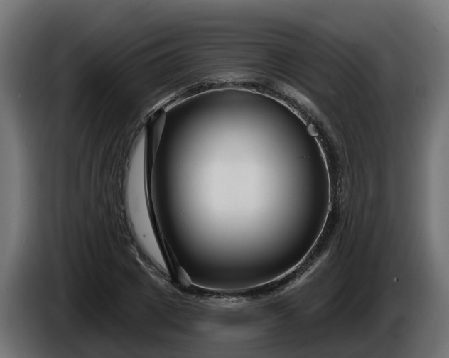 X0000086320833200704131651