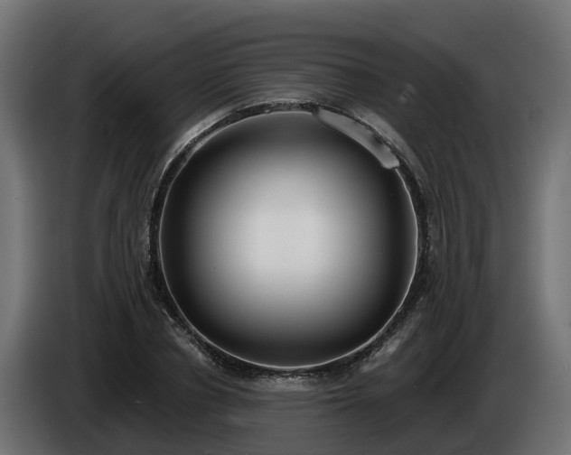 X0000086320834200704131651