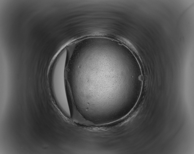 X0000086320835200704131651