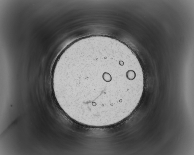 X0000086320836200704131651