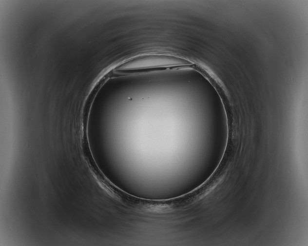 X0000086320837200704131651