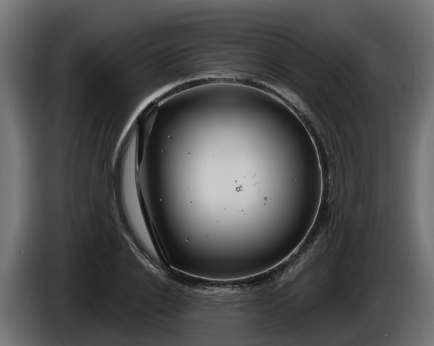 X0000086320838200704131651