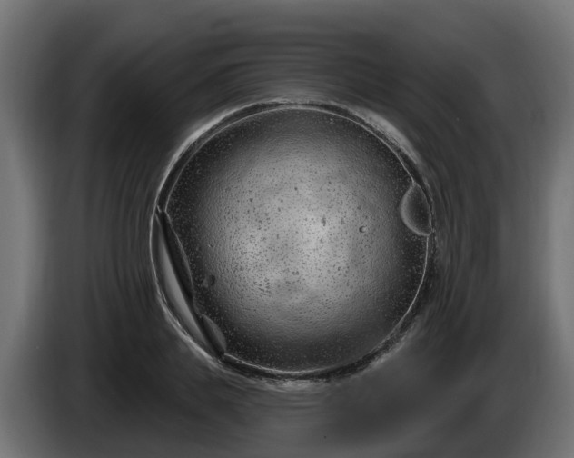 X0000086320839200704131651