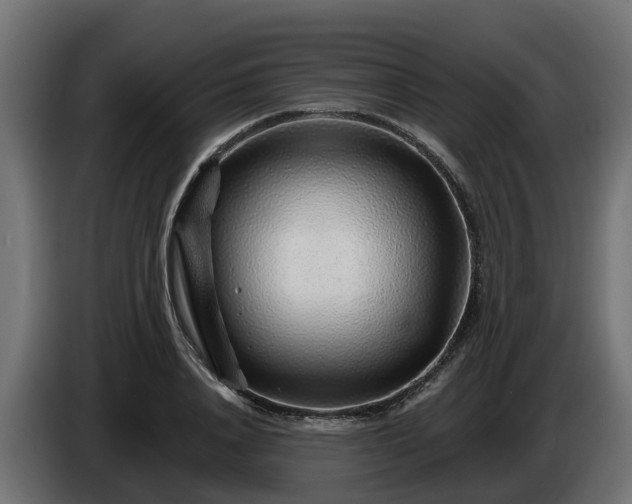 X0000086320840200704131651