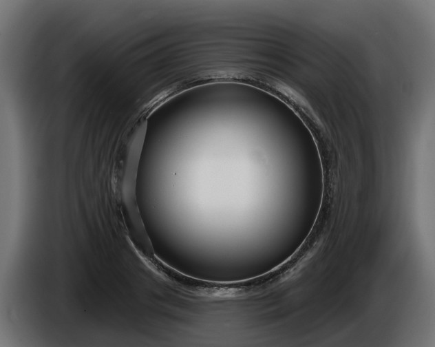 X0000086320841200704131651