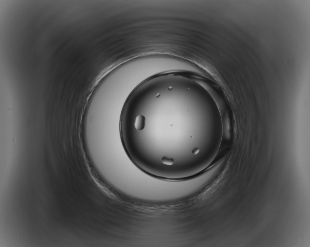 X0000086320842200704131652