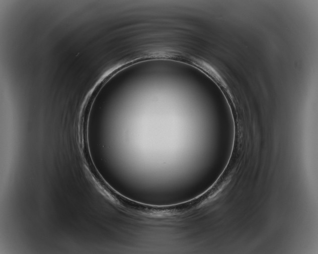 X0000086320843200704131652