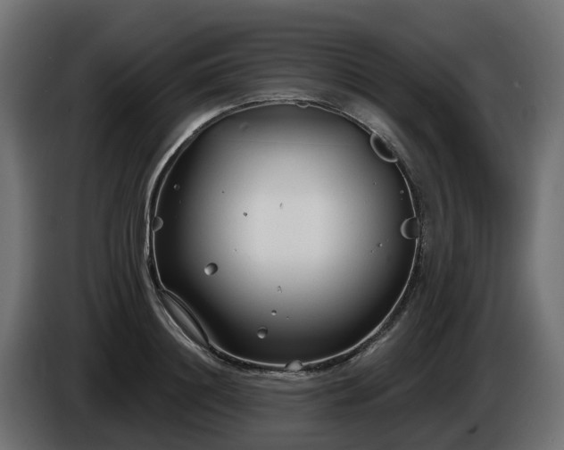 X0000086320844200704131652