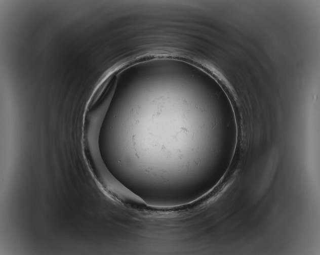 X0000086320845200704131652