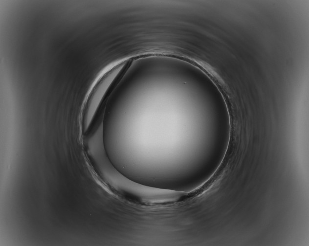 X0000086320846200704131652