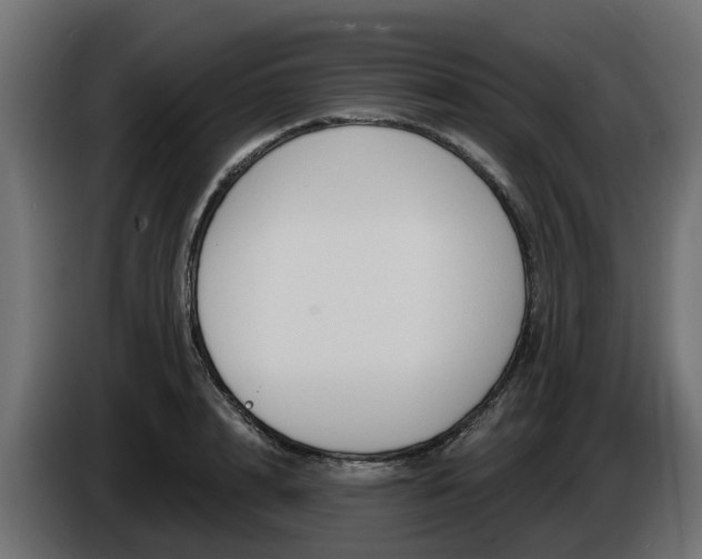 X0000086320848200704131652