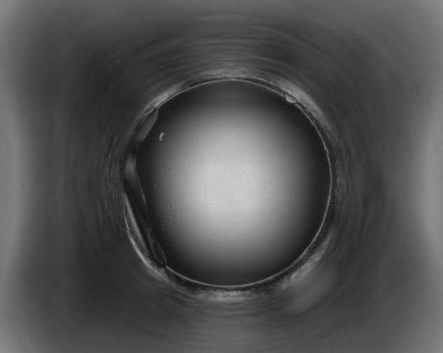 X0000086320849200704131652