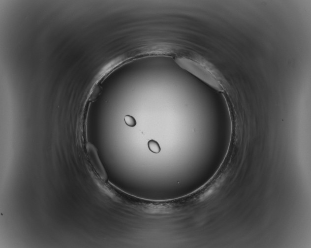 X0000086320850200704131652