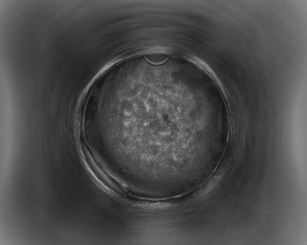 X0000086320851200704131652