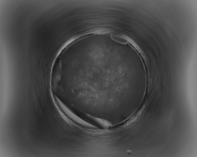 X0000086320853200704131652