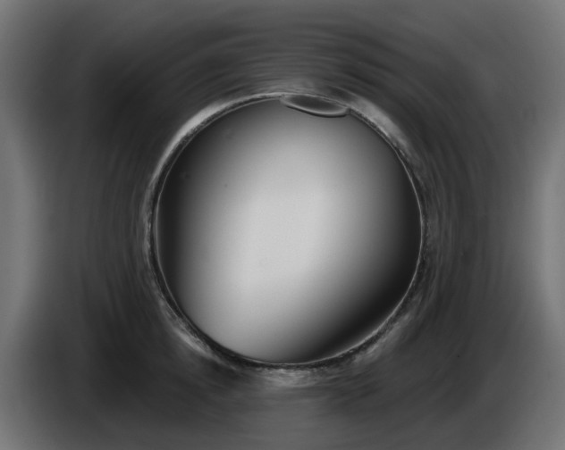 X0000086320854200704131652