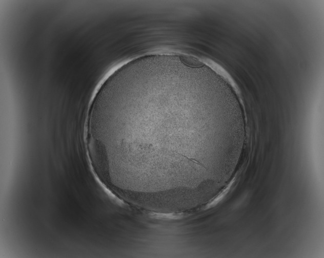 X0000086320855200704131652