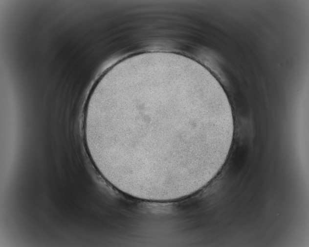 X0000086320856200704131652