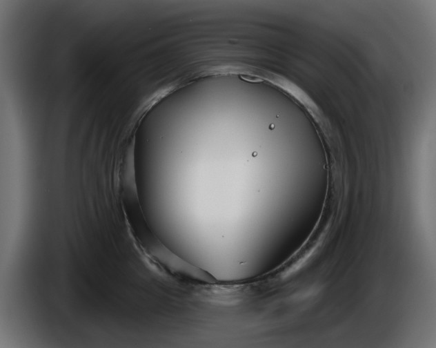 X0000086320857200704131652