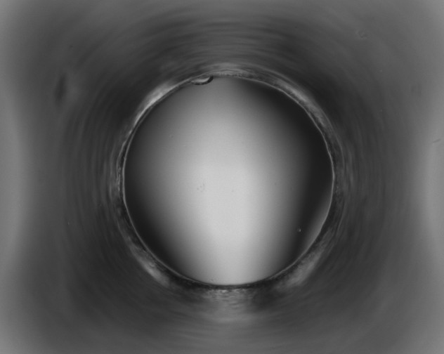 X0000086320858200704131652