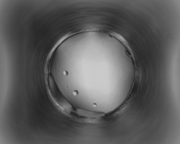 X0000086320859200704131652